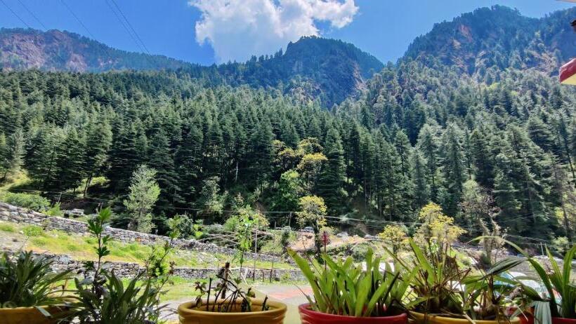 ルームシェアのワンベッド, Flipsyde Retreat