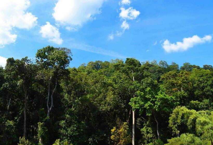Номер Стандарт с Балконом, Shrine Inn