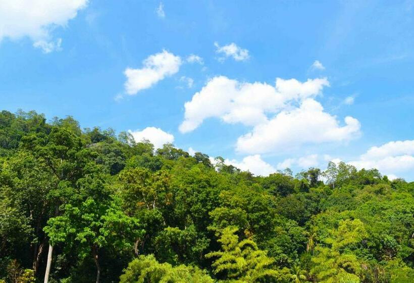 Номер Стандарт с Балконом, Shrine Inn