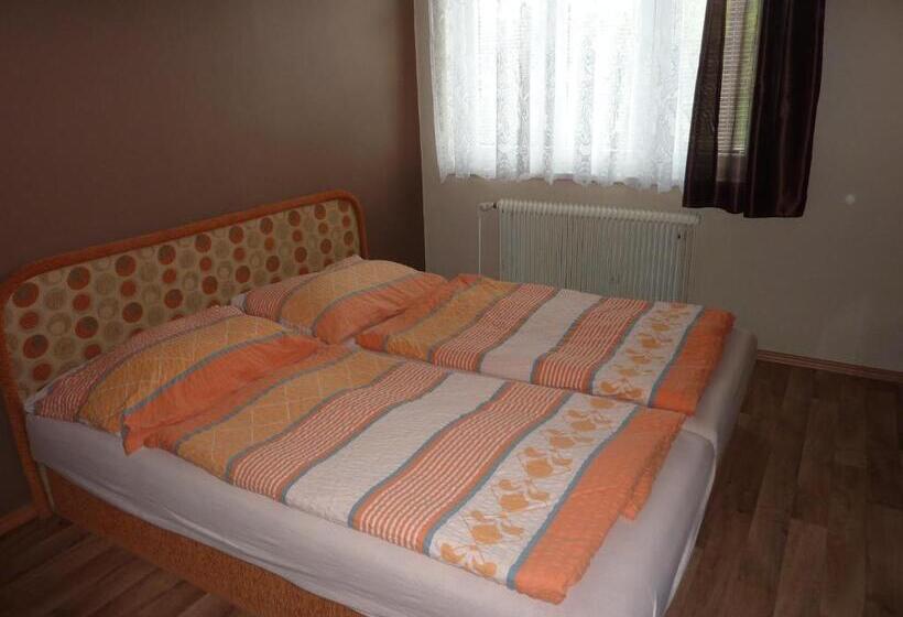 スタンダード4人部屋, Penzion čech