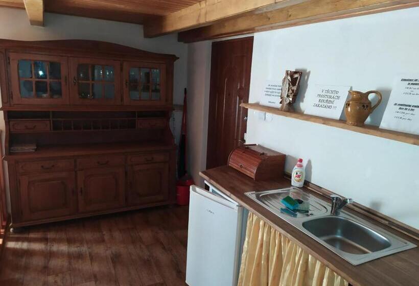 1ベッドルームアパートメント, Penzion čech