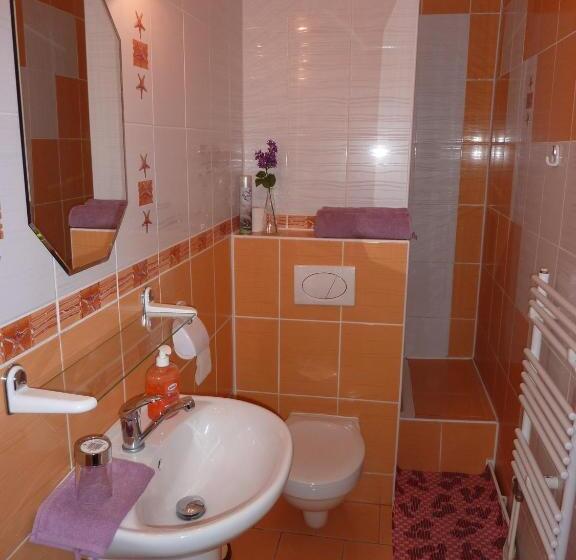 スタンダード4人部屋, Penzion čech