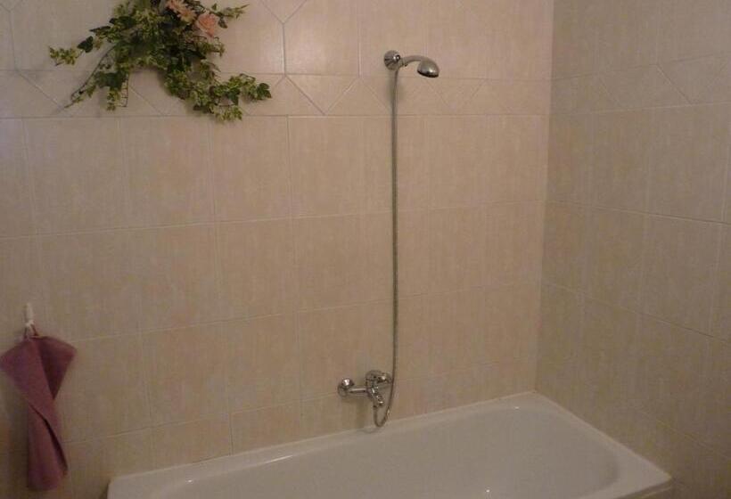 Standard room with outdoor bath, Penzion čech