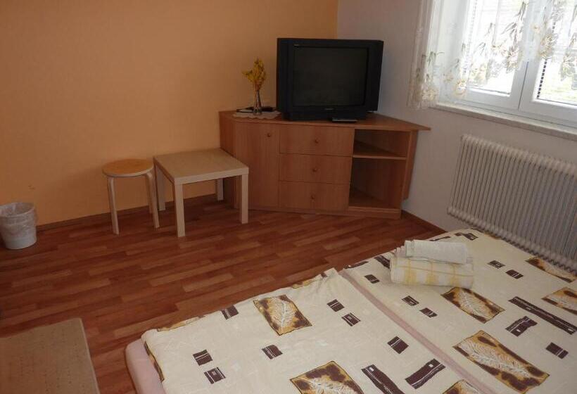Standard room with outdoor bath, Penzion čech