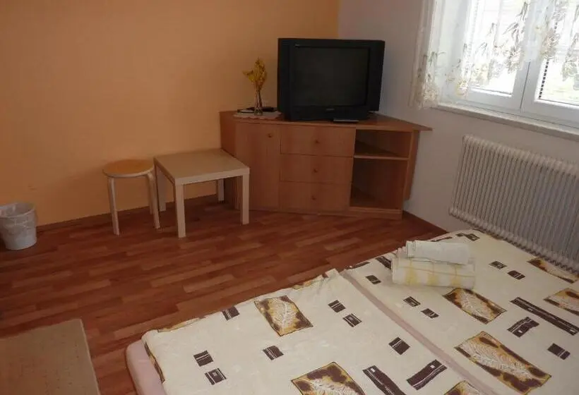 Standard room with outdoor bath, Penzion čech