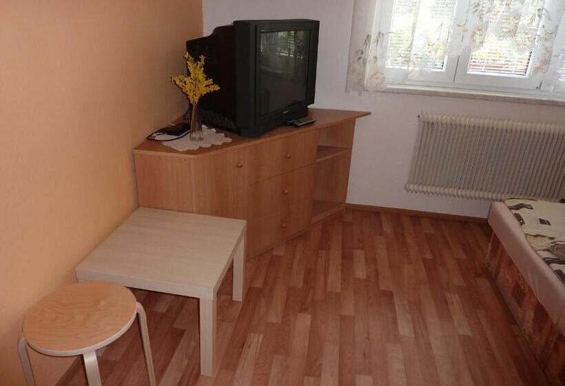 Standard room with outdoor bath, Penzion čech