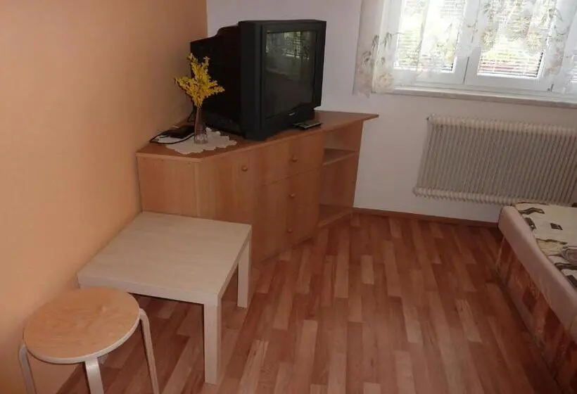 Standard room with outdoor bath, Penzion čech