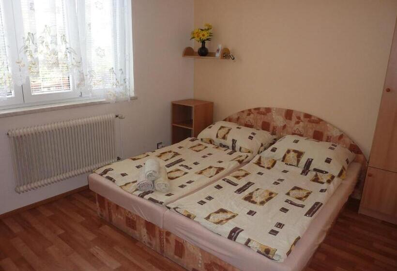 Standard room with outdoor bath, Penzion čech