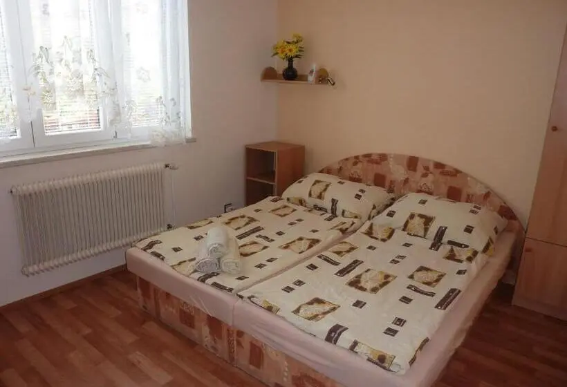 Standard room with outdoor bath, Penzion čech