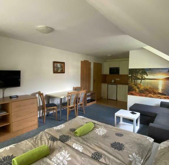 إستوديو قياسى, Pension Sima