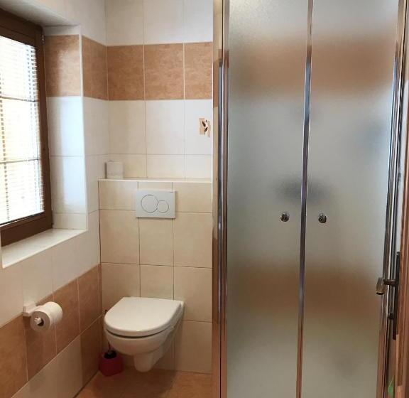 إستوديو قياسى, Pension Sima