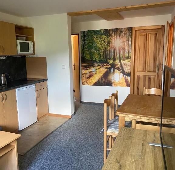 １ベッドルームアパートメント, Pension Sima