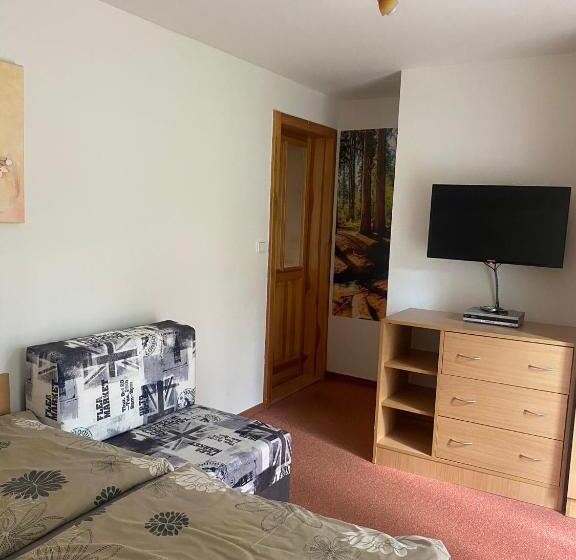 شقة غرفة واحدة, Pension Sima