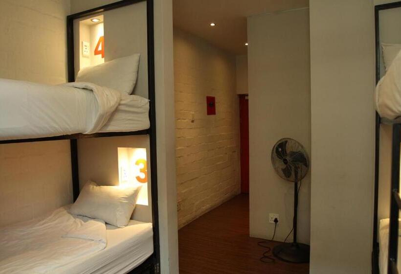 Кровать в Общей Комнате, 91 Loop Boutique Hostel