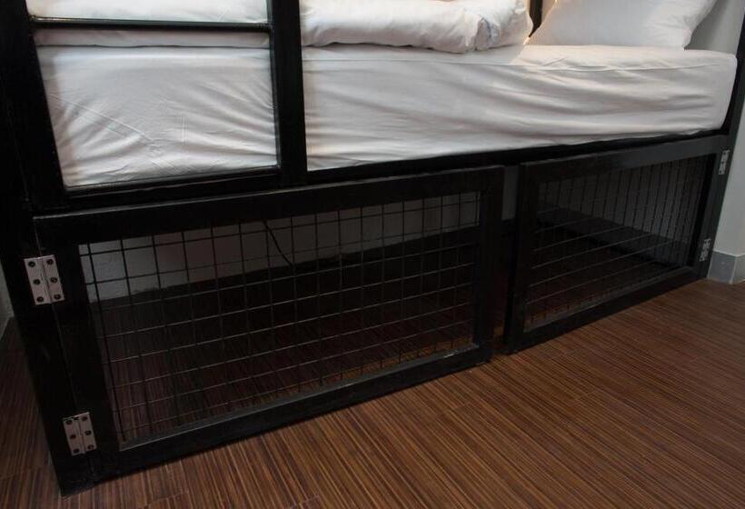 공동 객실, 91 Loop Boutique Hostel