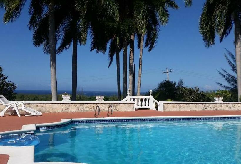 ویلای سوپریور 1 خوابه, A Piece Of Paradise Montego Bay