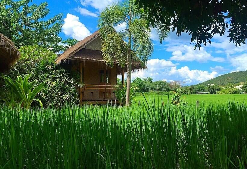 1 Sovrums Hus, Pai Phu Fah