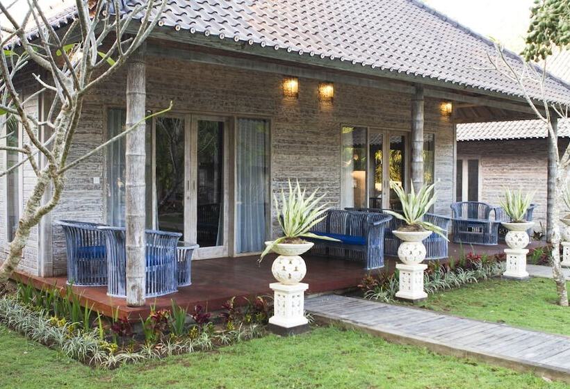 豪华套房, The Palm Grove Villas