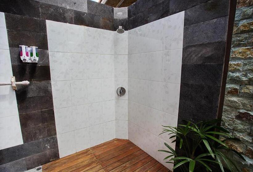 豪华园景房, The Palm Grove Villas