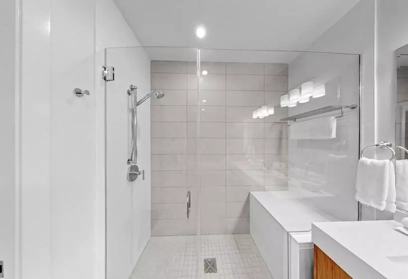 3 Bedroom Suite, Level Los Angeles   Downtown South Olive