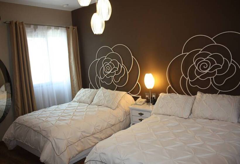 اتاق استاندارد, Zarzarosa Hotel Boutique