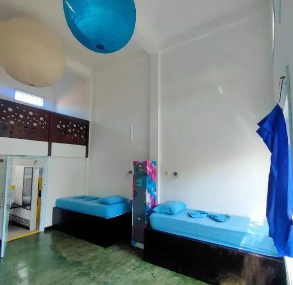 تختخواب در اتاق مشترک, Gili Beach Bum Hostel