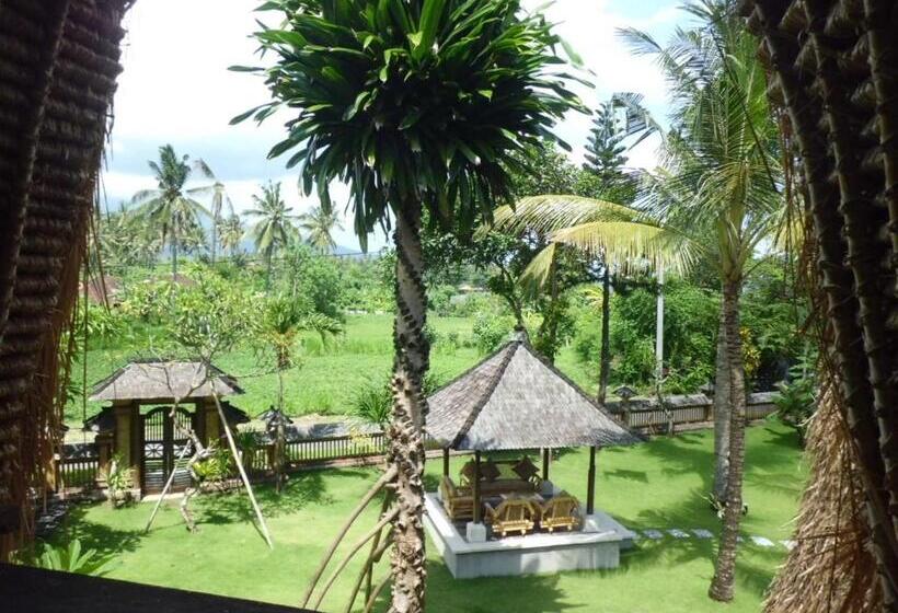 غرفة سوبيريور ثلاثية, Aashaya Jasri Resort