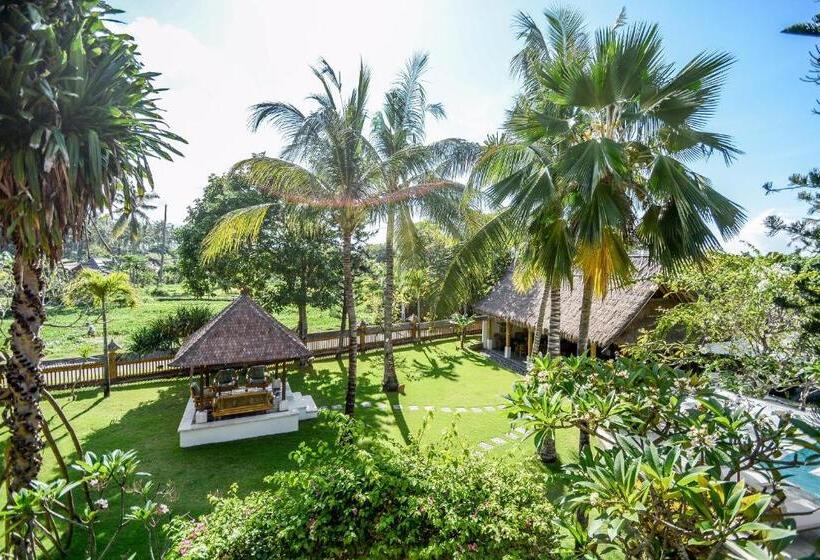 Трехместный Номер Superior, Aashaya Jasri Resort