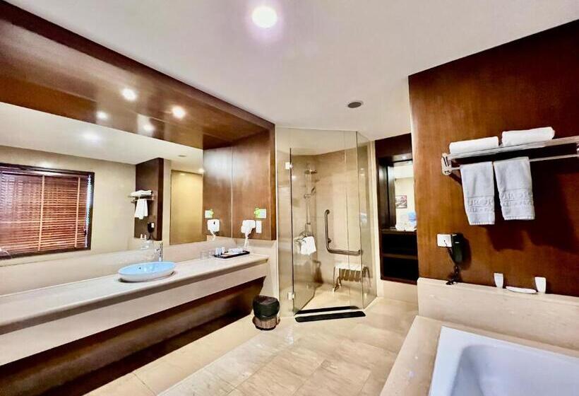 استودیوی استاندارد, Aurora Hotel Plaza