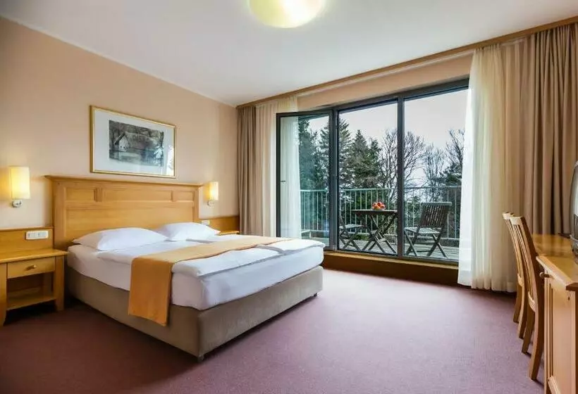 اتاق استاندارد, Grand Hotel Bellevue