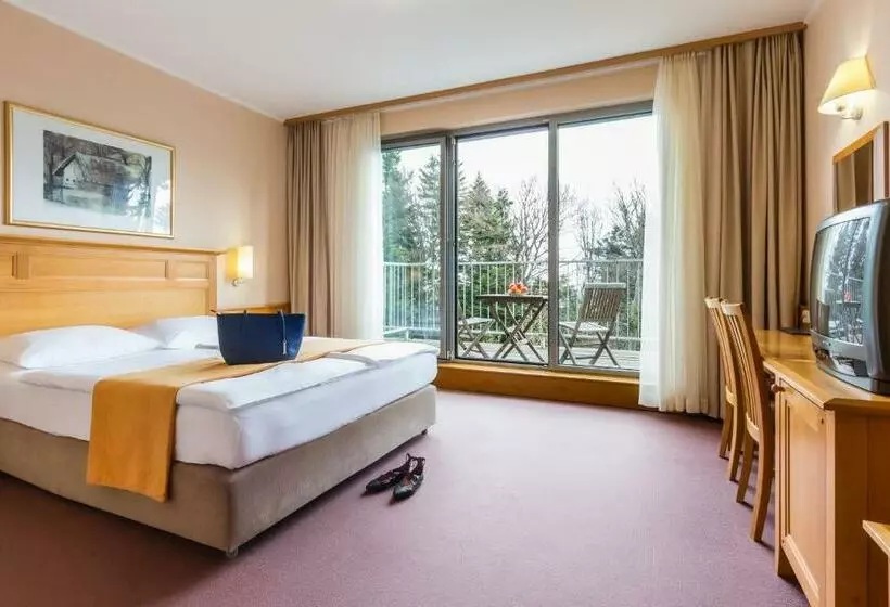 اتاق استاندارد, Grand Hotel Bellevue