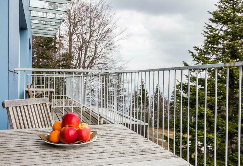 اتاق استاندارد, Grand Hotel Bellevue