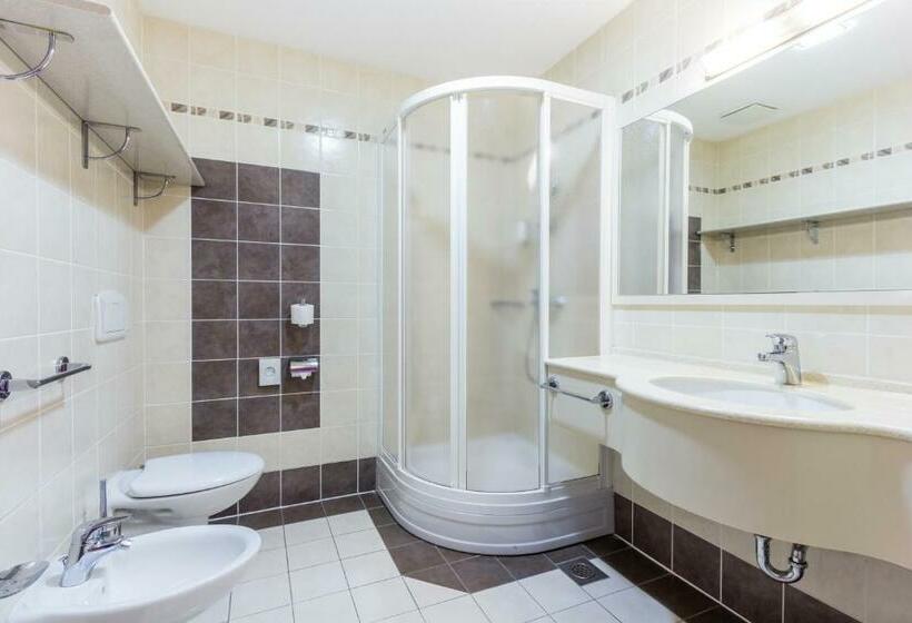 اتاق استاندارد, Grand Hotel Bellevue