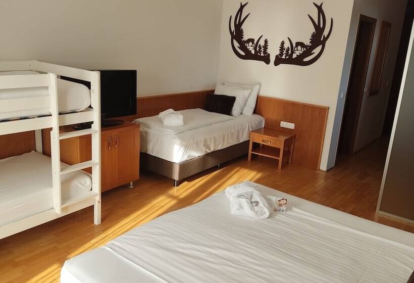 اتاق خانوادگی, Grand Hotel Bellevue