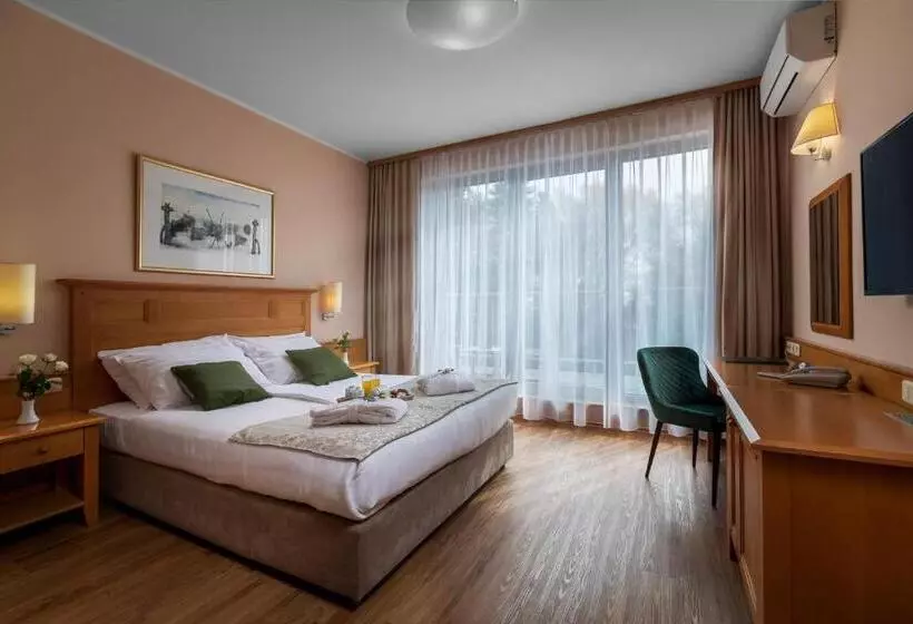 اتاق استاندارد, Grand Hotel Bellevue