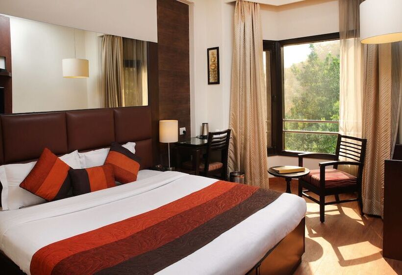 غرفة ديلوكس, Ahuja Residency Cyber City Ii