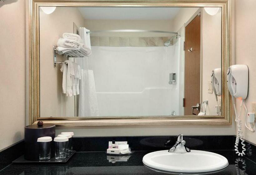 身障者適用キングサイズベッドルーム, Canalta Hotel Melfort