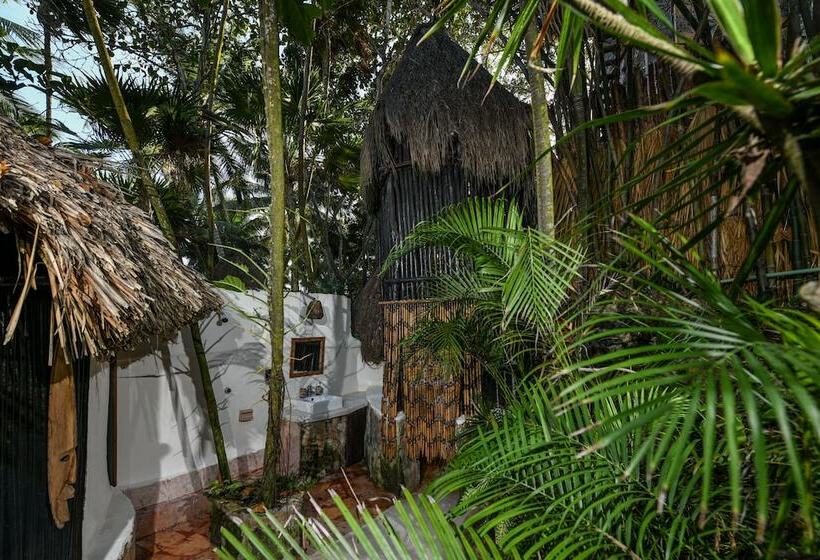 スタンダードバンガロー, Diamante K   Inside Tulum National Park