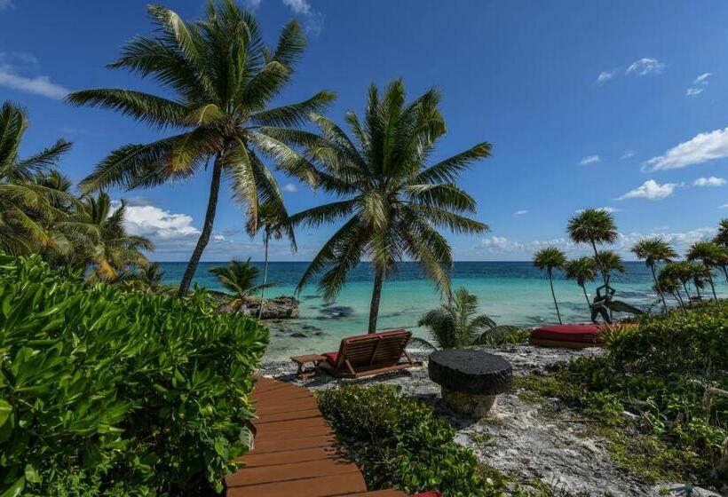 스위트 킹사이즈 침대, Diamante K   Inside Tulum National Park