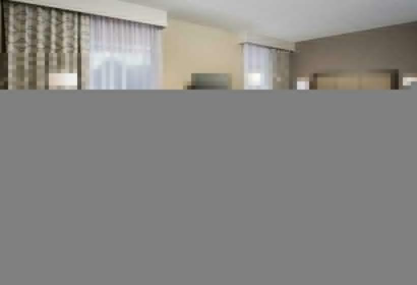 适合残疾人士使用的带超级大床的标准间, Hampton Inn & Suites Falls Church