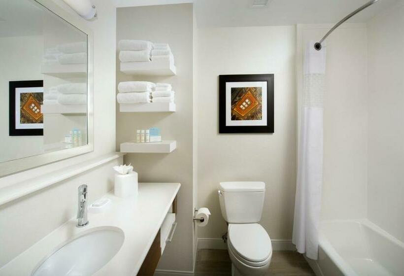 带大床的标准间, Hampton Inn & Suites Falls Church