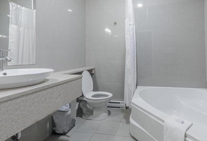 Номер Deluxe, Montfort Nicolet