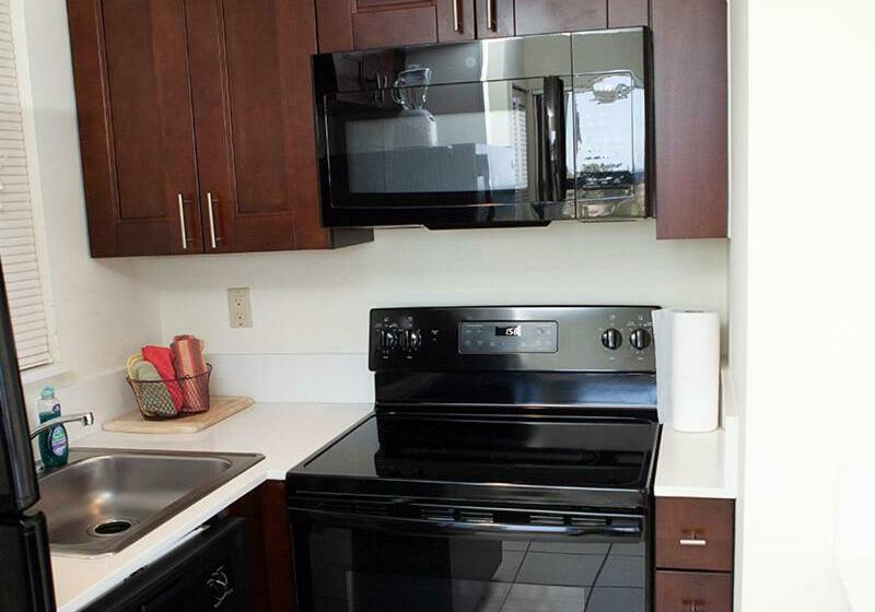 شقة غرفة واحدة مطلة على البحر, Native Sun