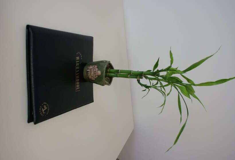 استودیوی استاندارد, Warrnambool Motel And Holiday Park