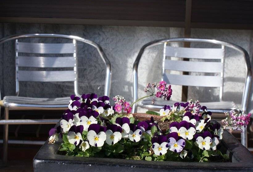 آپارتمان کلاسیک 1 خوابه, Warrnambool Motel And Holiday Park