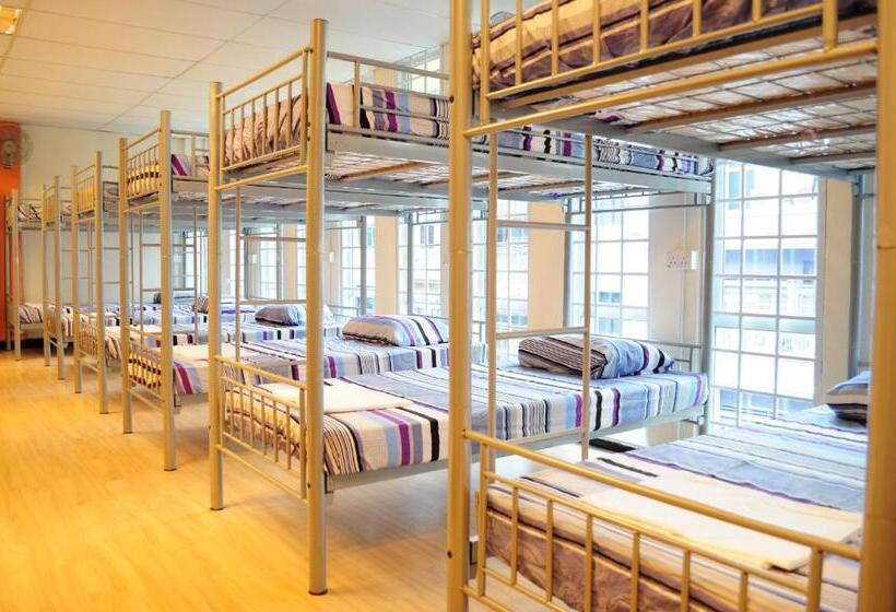 تختخواب در اتاق مشترک, River City Inn