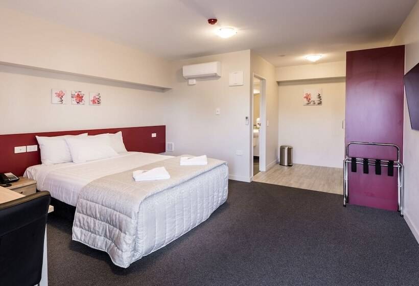 高级工作室, C Motel