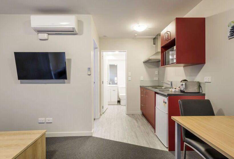 带1个卧室的高级公寓, C Motel