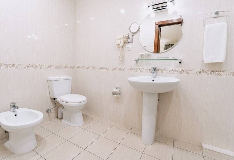 اتاق استاندارد, Hl 309