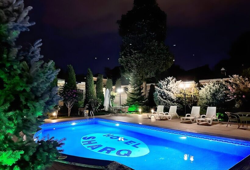 اتاق لوکس, Hl 309